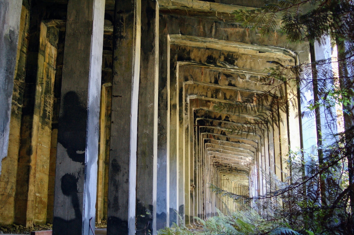 Wellington Snow Shed 