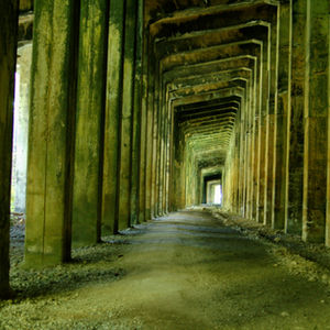Wellington Snow Shed 