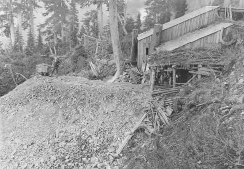 Del Campo Camp