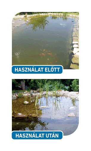 Előtte-utána kép: BioEnzy AquaCW használata után megtisztult tóvíz