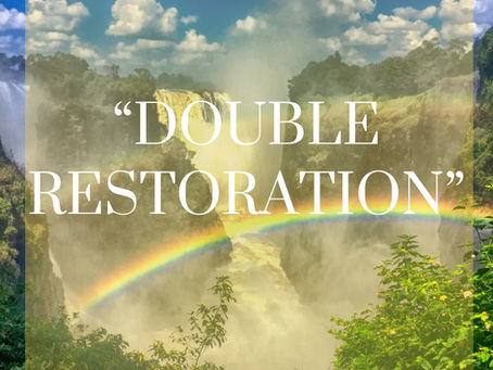 DOUBLE RESTORATION