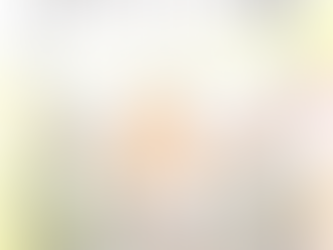 SILVER COIN RAIN SHOWERS-‘PRO’VISION FOR THE VISION