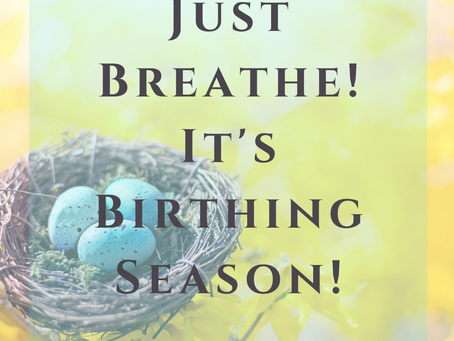 JUST BREATHE! IT'S BIRTHING SEASON.