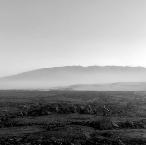 untitled image