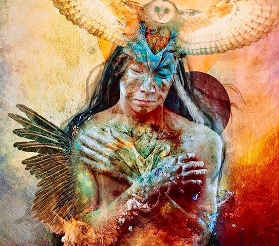 untitled image