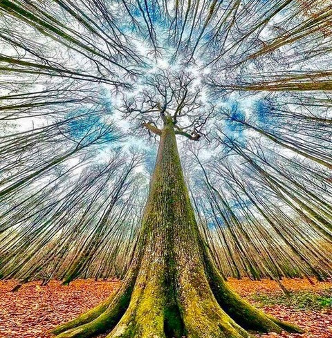 untitled image