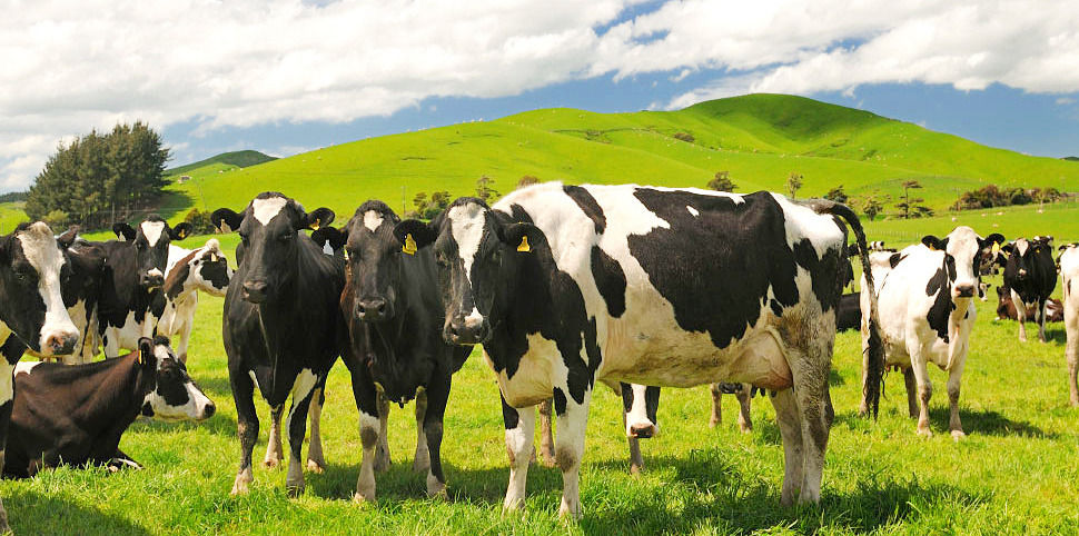 WEB_IMG_Home_Agri_edited_edited_edited