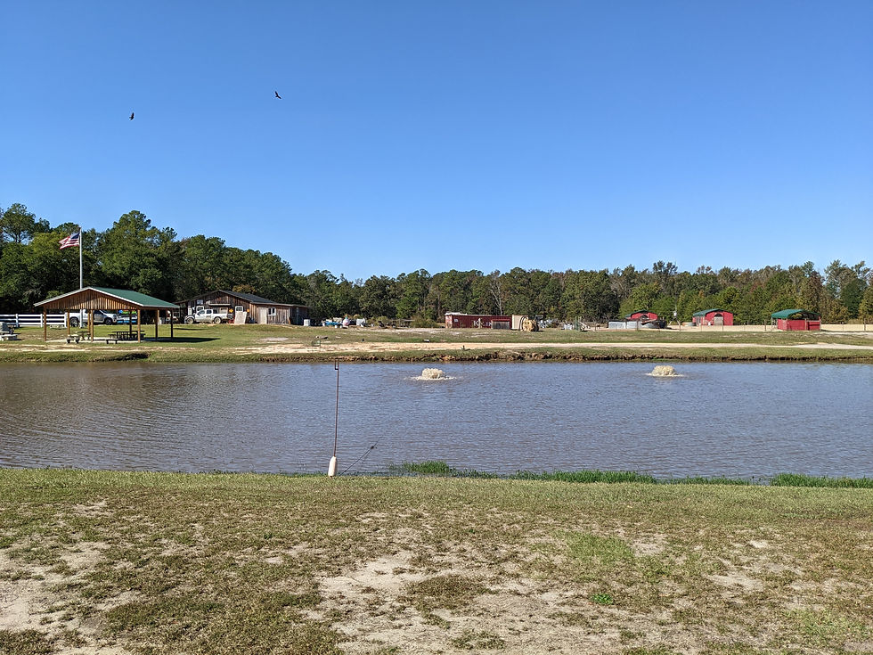 PXL_20221018_151232358.jpg
