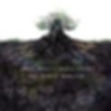 TheRootsBeneath-Artwork-cover-3000px.jpg
