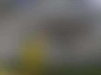 Apex Chinchilla Street Library