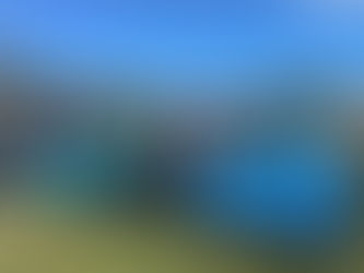 Maleny Apex Club Revving Up Success at Muscle on the Mountain