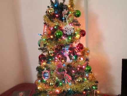 The One-Room Open House: How Mary Anne Created this Warm Holiday Tradition at Northwood