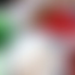 整腸清熱地瓜餐