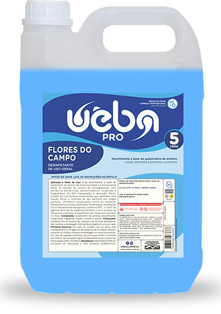 DESINFEX_FLORES DO CAMPO.png