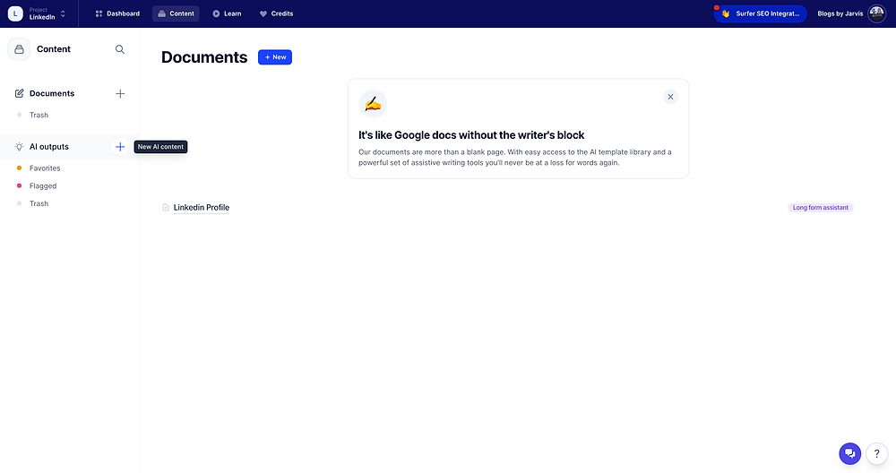 AI Outputs section