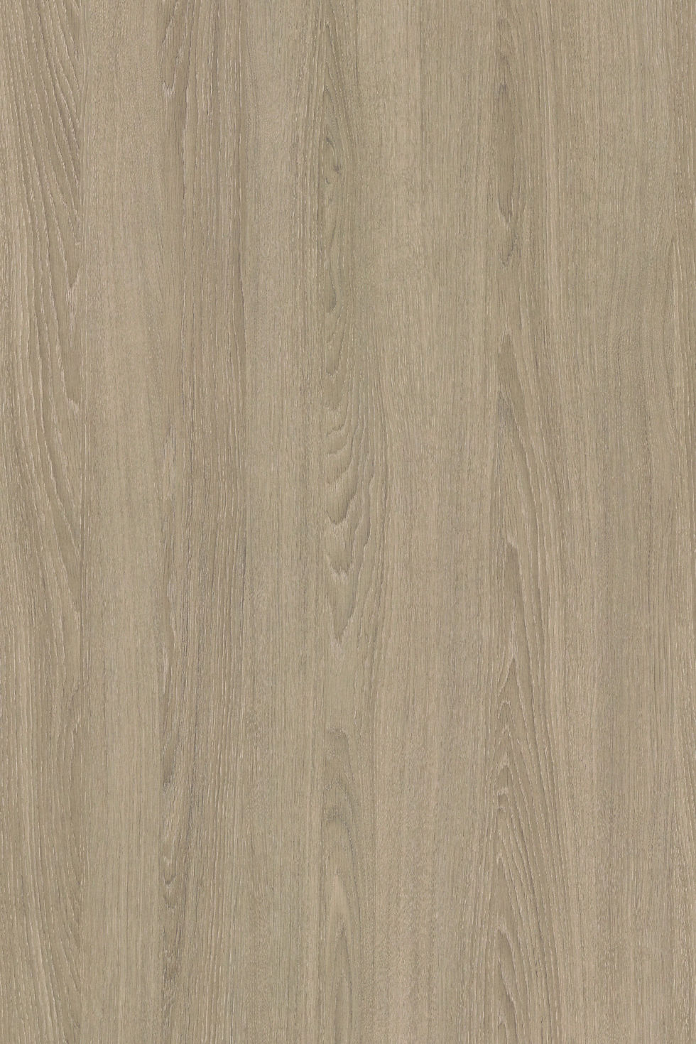 Sand Orleans Oak