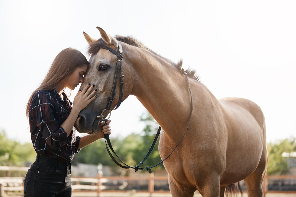 Horses 2 Healing (Springboro)