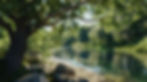 Our History Riverscape