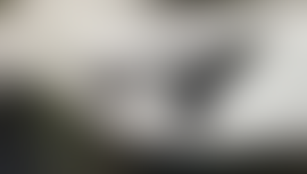 猫の肋骨の腫瘍