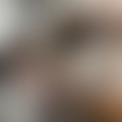 マイクロブタの犬歯の歯根膿瘍