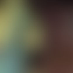 マイクロブタの誤食と消化管閉塞