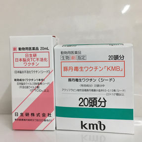 マイクロブタのワクチン入荷しました！