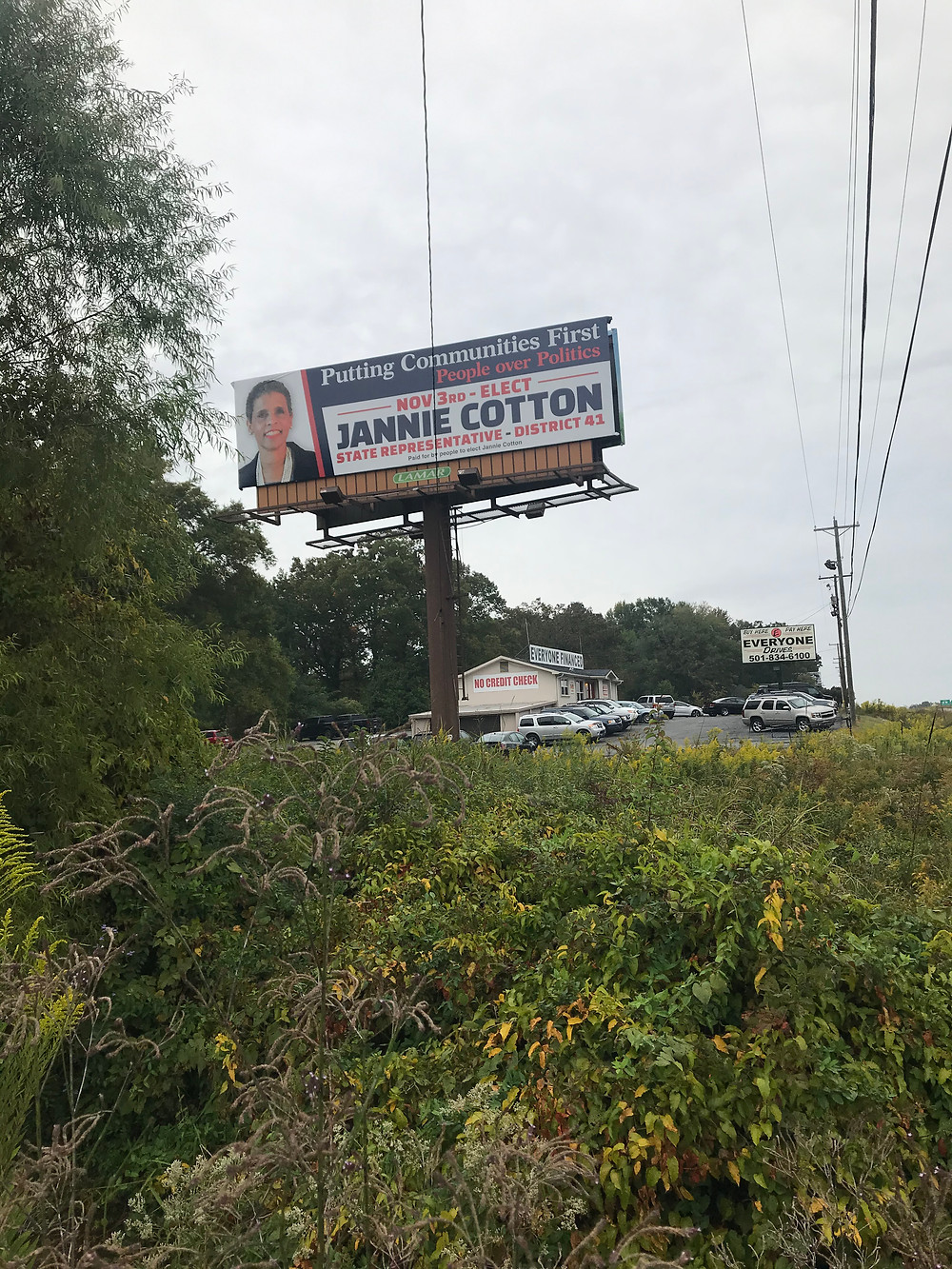 Candidate Jannie Cotton Billboard in District 41