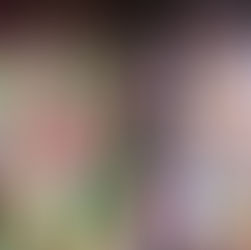 guide for using patterned fabrics in interior design