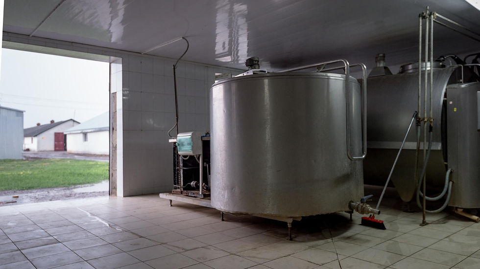 Dairy refrigeration solutions with bulk milk cooling equipment by The Ranko Refrigeration Co.