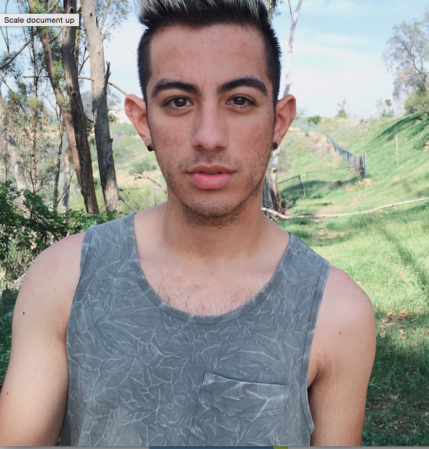 Anthony Languren