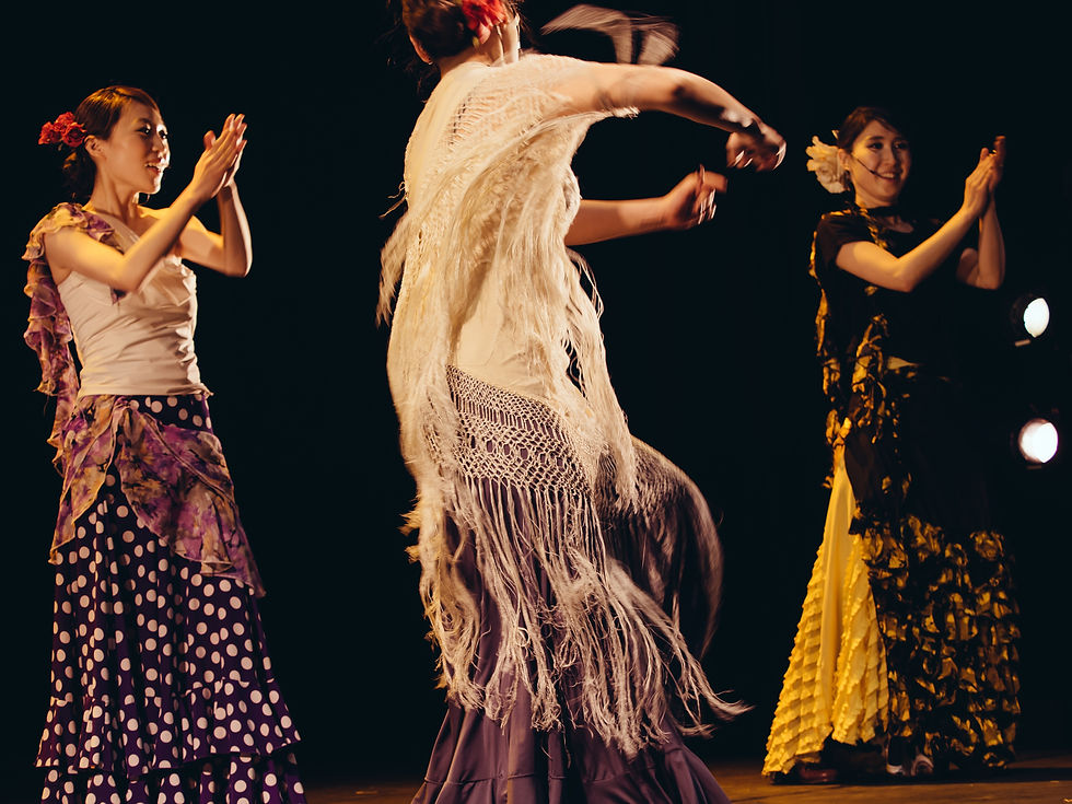 엘아이레플라멩코_HurJin_150329_169056