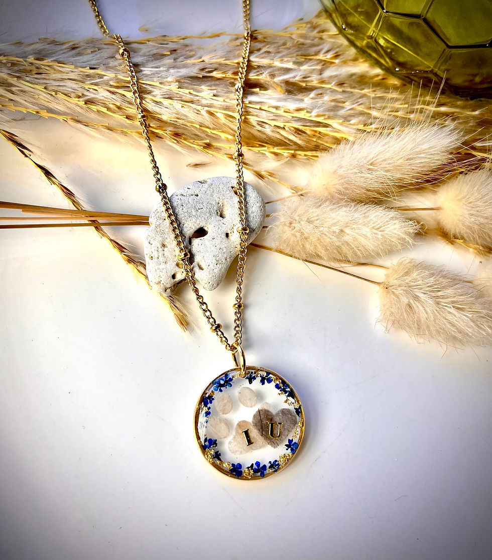 Thumbnail: Collier souvenir Pollux