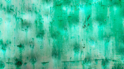 Anticorrosion et travaux industriels sous contrainte : où se joue la différence en 2025