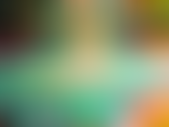 Vins effervescents 2025 : gagner sur le mix marques et sur l’exécution réseau