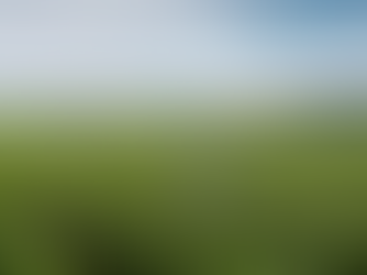 Ce qui ralentit les maisons de Champagne en 2025