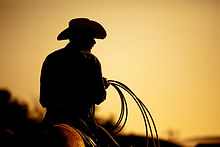 Cowboy on Horse