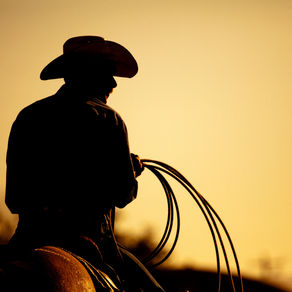 Cochrane Ag lands, Master servicing agreement on wastewater, Off-site levies come for public input..