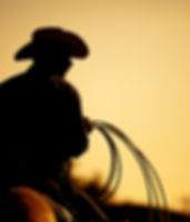 Cowboy on Horse