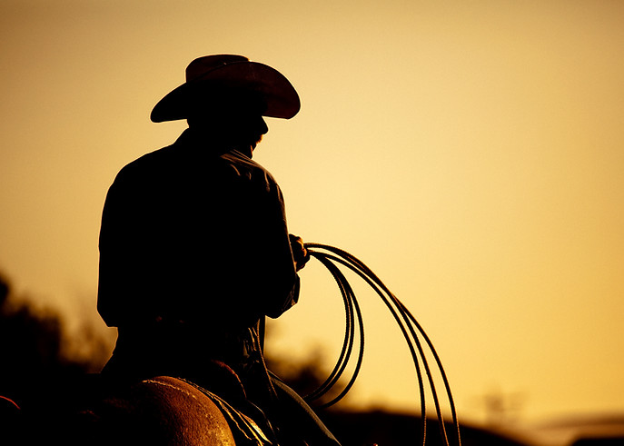 Cowboy on Horse
