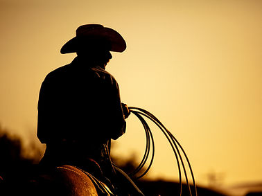Cowboy on Horse