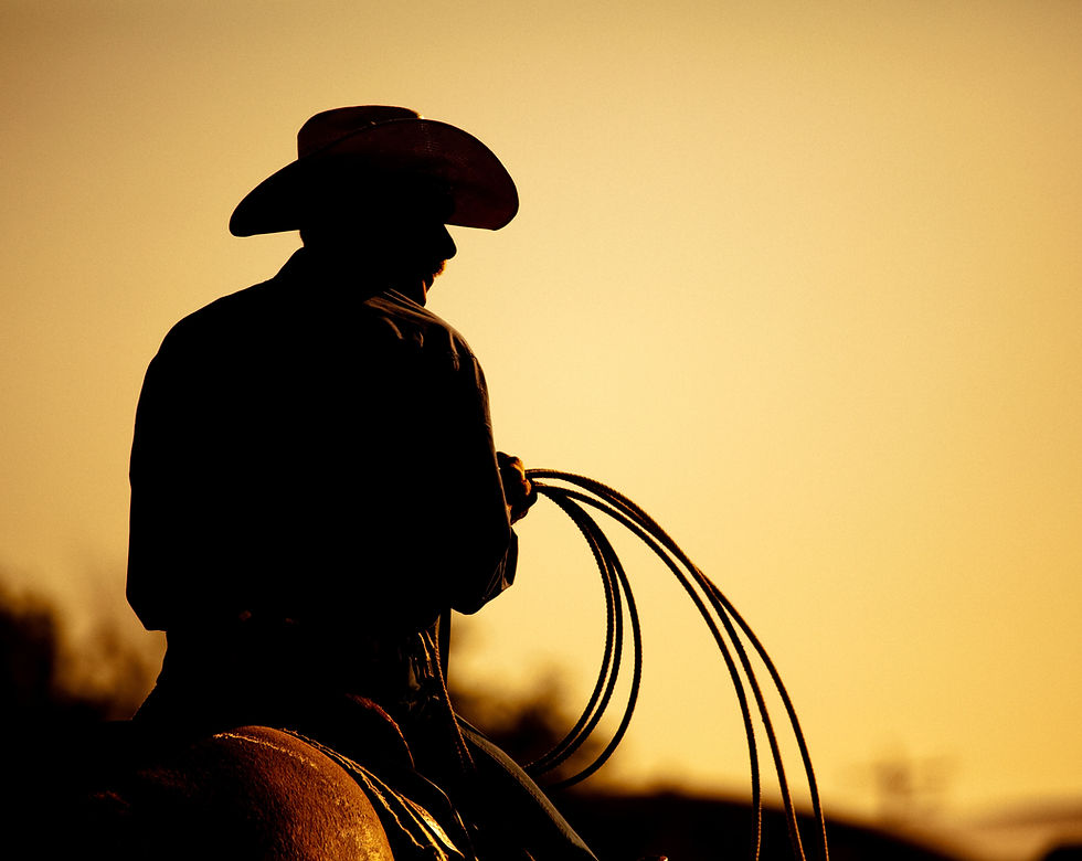 Cowboy no cavalo