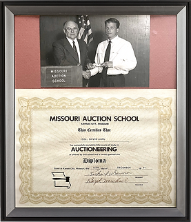 AuctionsByDavid_Diploma