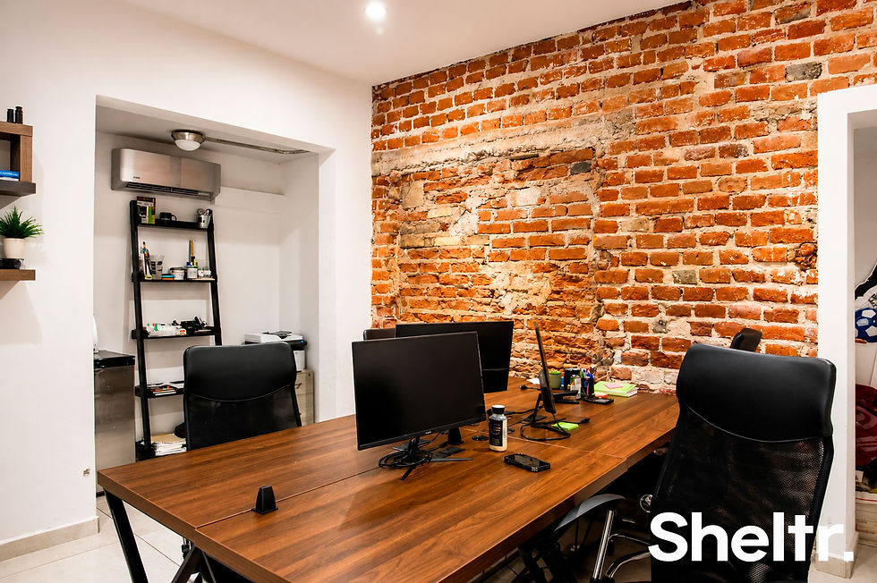Sheltr2.jpg