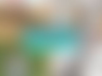 Transitions: Burden, Blessing or Both?