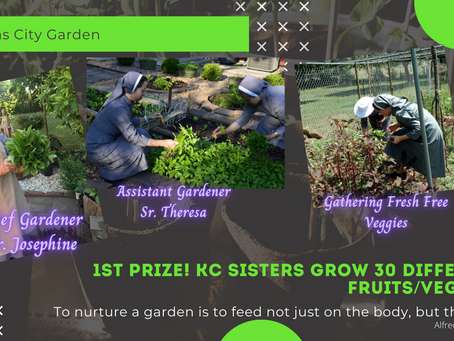 CMR Homes & Gardens Vegetable Edition: WOW! Wonderful, Organic, Wholesome