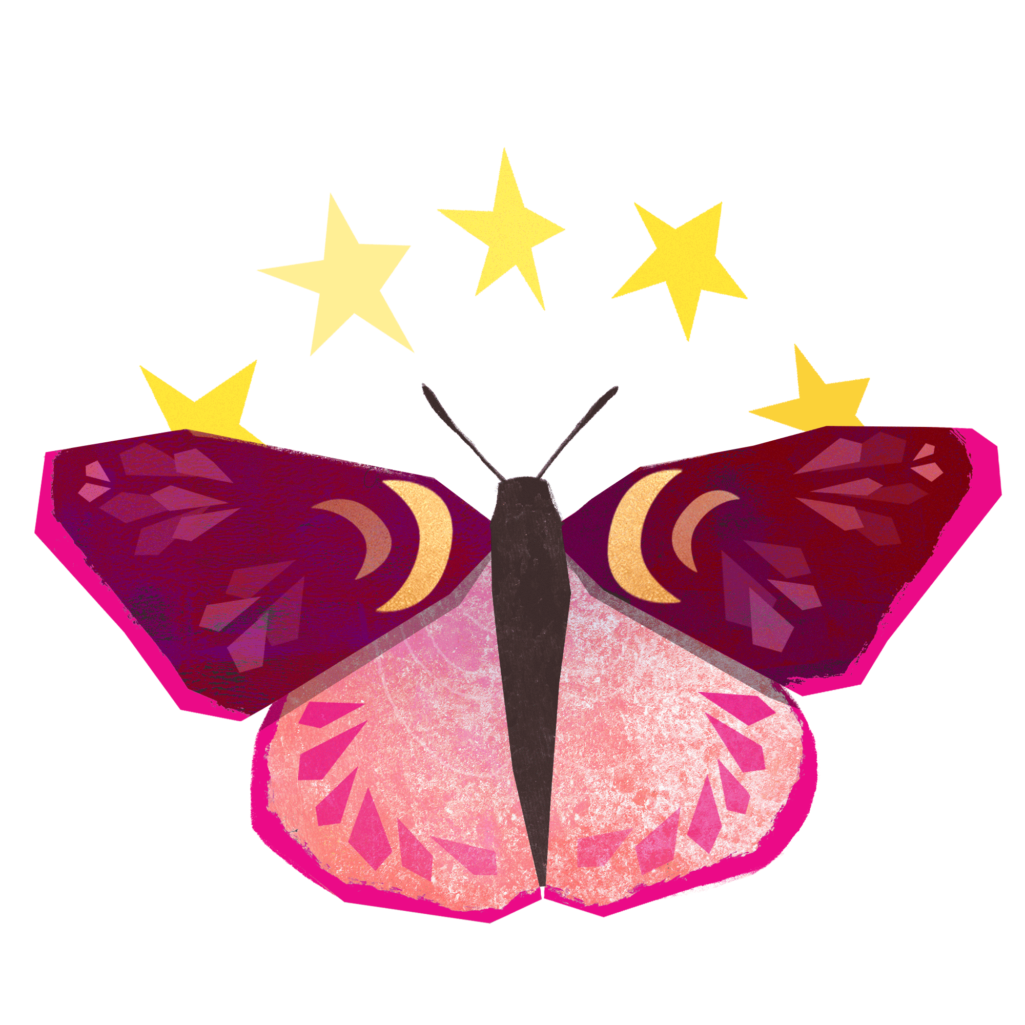 animated butterfly moth stickers digital art