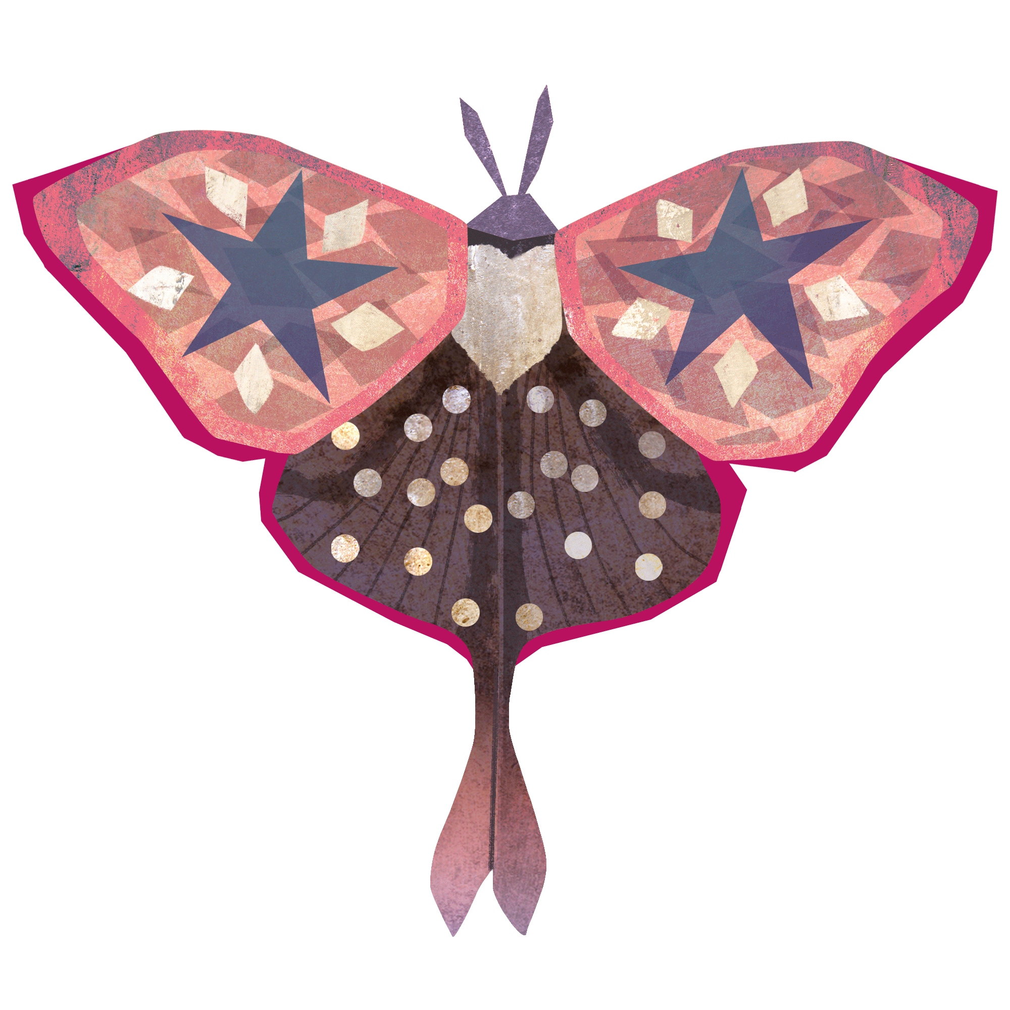 animated butterfly moth stickers digital art