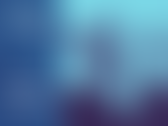 Alena Pomahačová: Klíč k dlouhodobému úspěchu je jednoznačně v týmové spolupráci