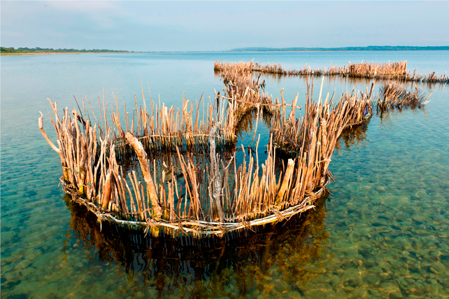 africa_south_africa_kosi_bay_gallery31.png