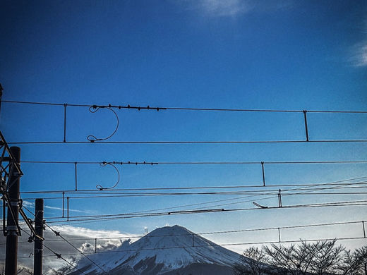 Viaggio di gruppo in giappone 